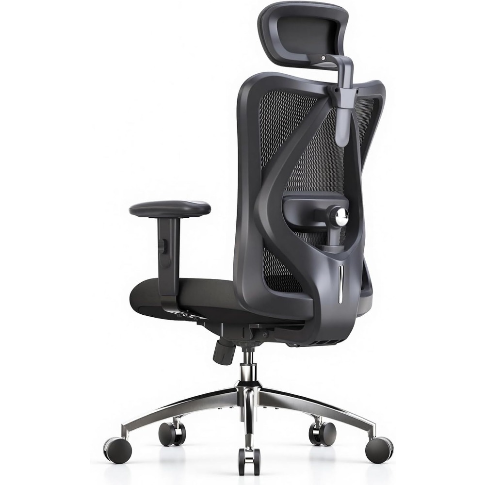 Ergonomic Office Chair - Ergonomischer Netz-Bürostuhl mit verstellbarer Lendenwirbelstütze und