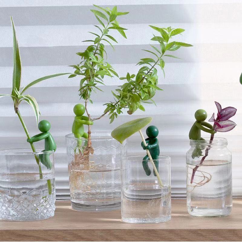Hydroponische Pflanzen-Fixierf – Home Office Layout Bewertung und Preis