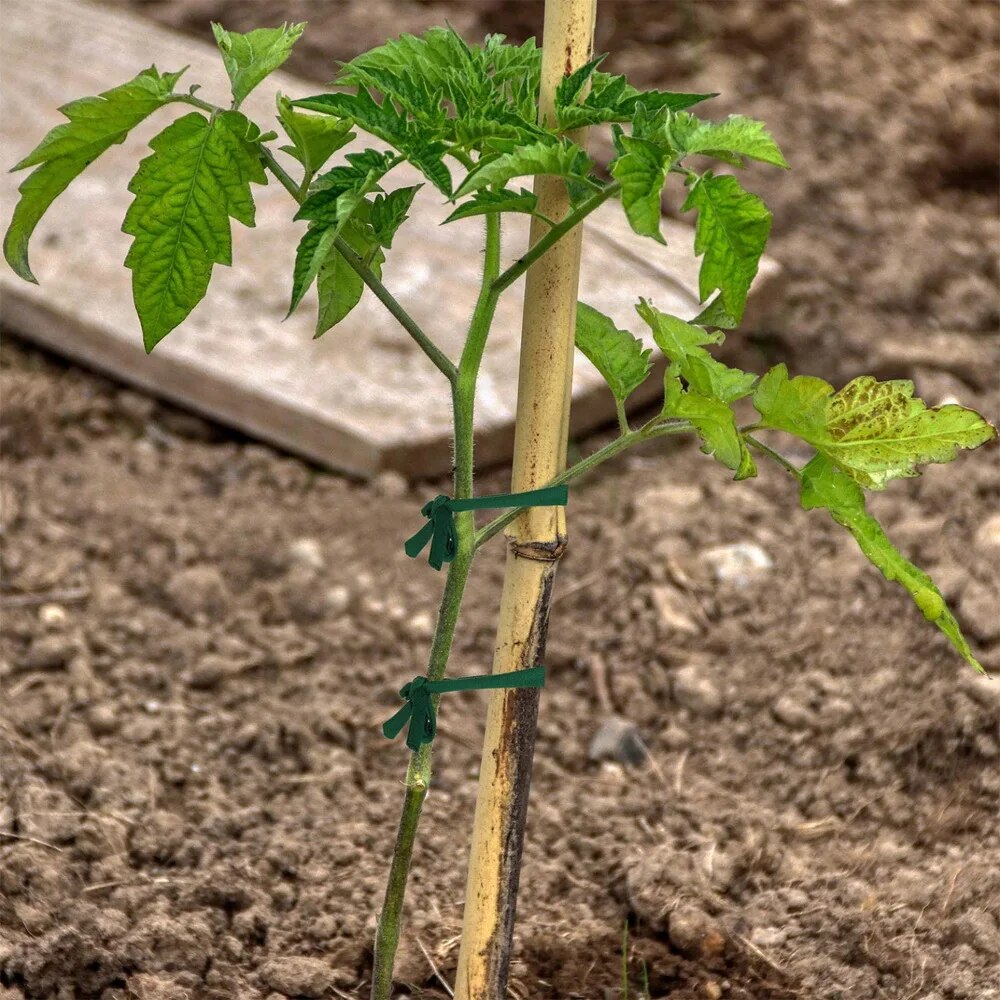 1 Stück grüner Gartenseil-Stof – Home Office Layout Bewertung und Preis